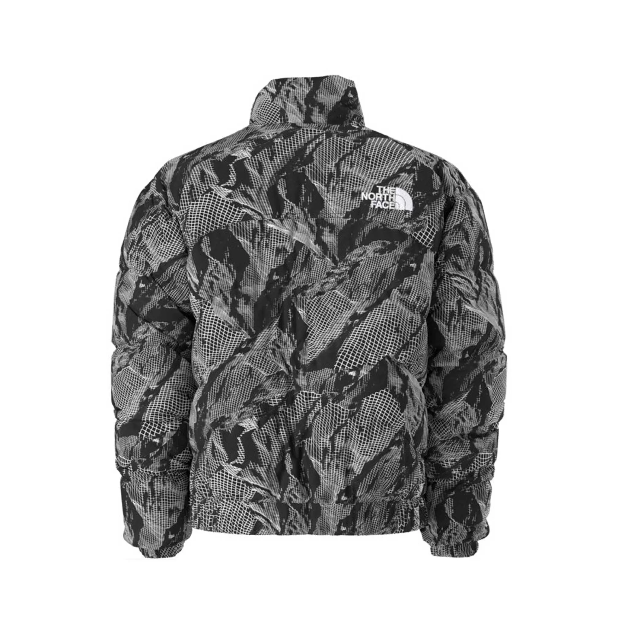Men's TNF Jacket 2000