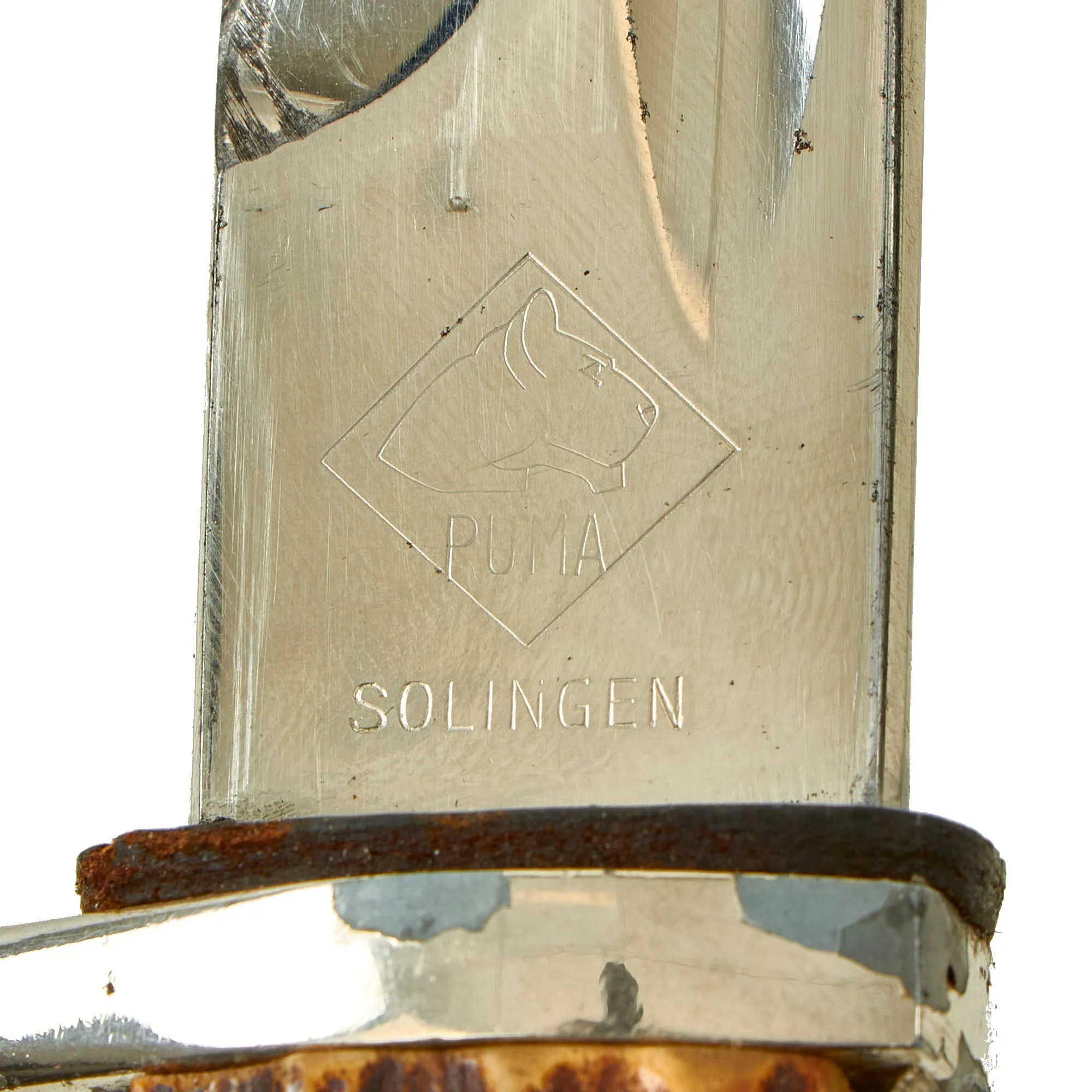 Original German WWII Stag Handled Long 98k Dress Bayonet by PUMA with Dutch NSNAP Inscription Dated 1937 with Scabbard