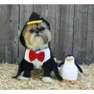 Penguin Dog Costume